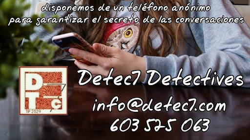 Detec7, Detectives Privados