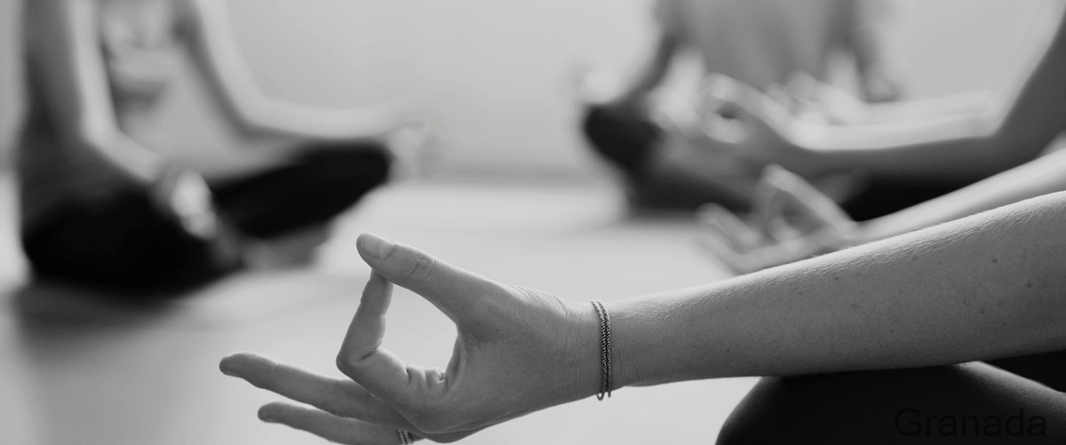 Las 20 mejores Escuelas de Yoga en Granada