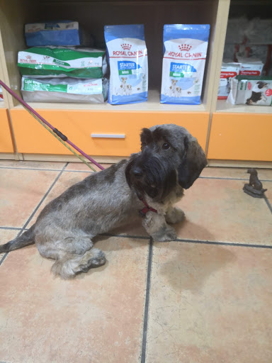 Peluquería Canina Enrique