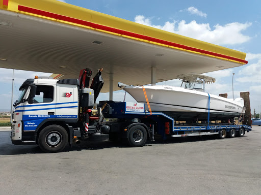 TRANSPORTES ESPECIALES GRANADA - GRÚAS JALDO